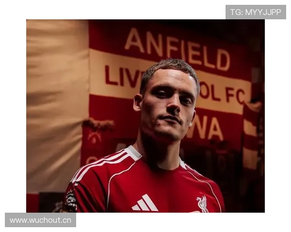 维尔茨：从组织核心到终结者的角色进化与数据解析